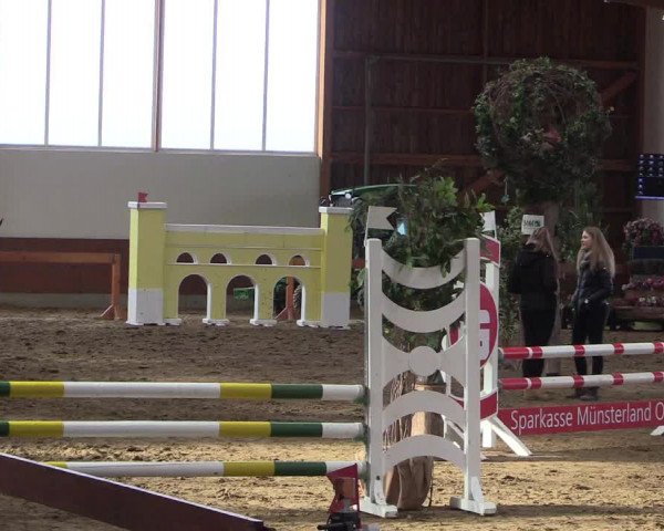 Reitturnier Warendorf-Freckenhorst 2018