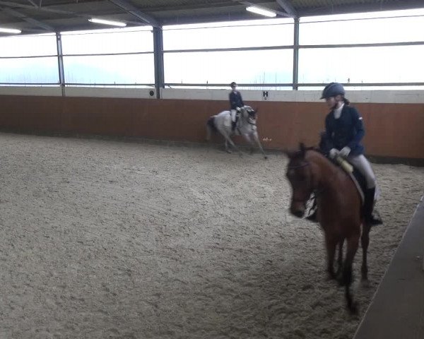 Reitturnier Leichlingen-Witzhelden 2018