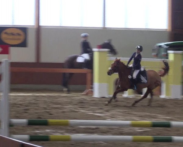 Reitturnier Warendorf-Freckenhorst 2018