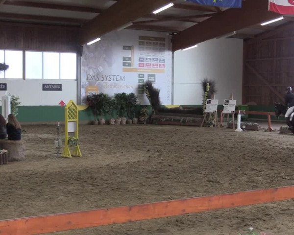 Reitturnier Warendorf-Freckenhorst 2018