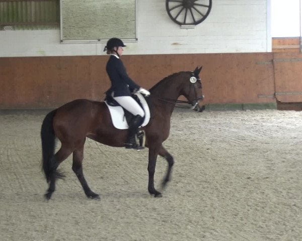 Reitturnier Leichlingen-Witzhelden 2018