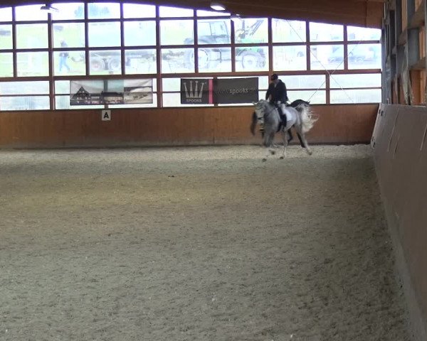 Reitturnier Leichlingen-Witzhelden 2018