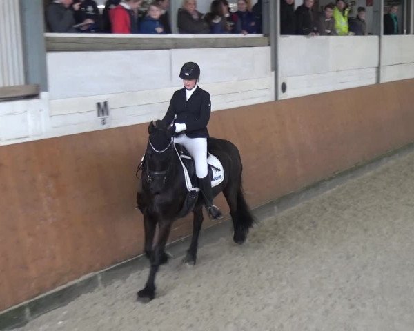 Reitturnier Leichlingen-Witzhelden 2018