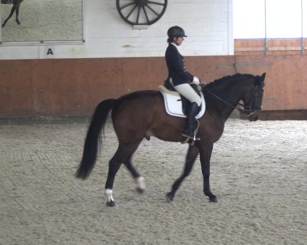 Reitturnier Leichlingen-Witzhelden 2018