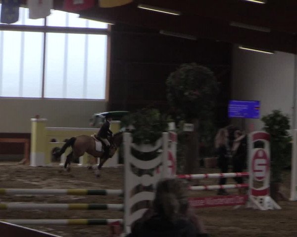 Reitturnier Warendorf-Freckenhorst 2018