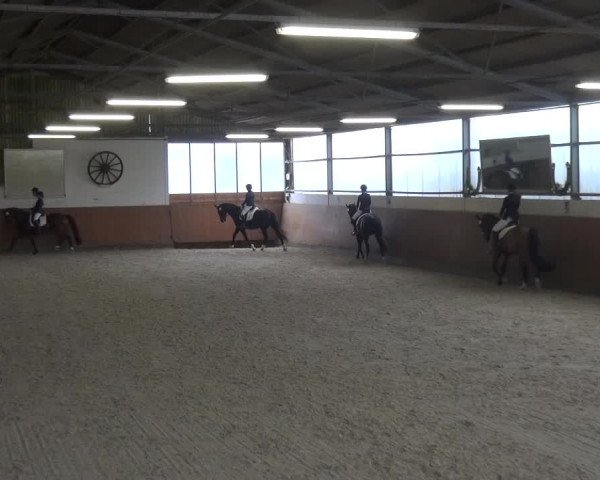 Reitturnier Leichlingen-Witzhelden 2018