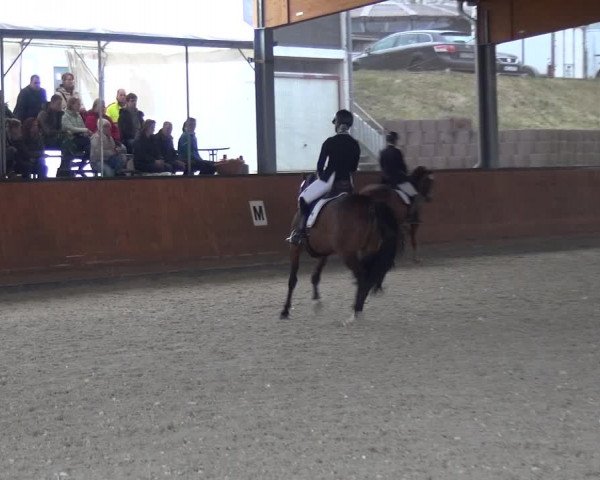 Reitturnier Leichlingen-Witzhelden 2018