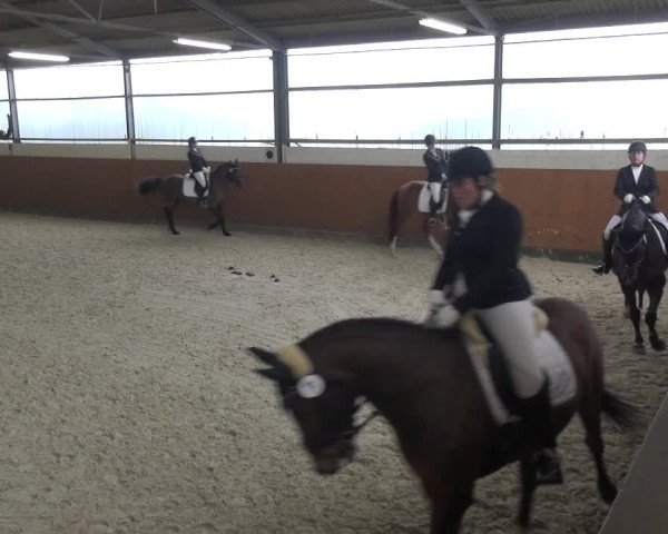 Reitturnier Leichlingen-Witzhelden 2018