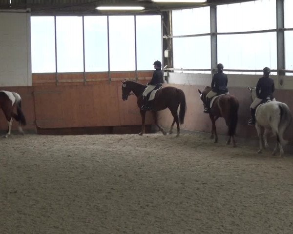 Reitturnier Leichlingen-Witzhelden 2018