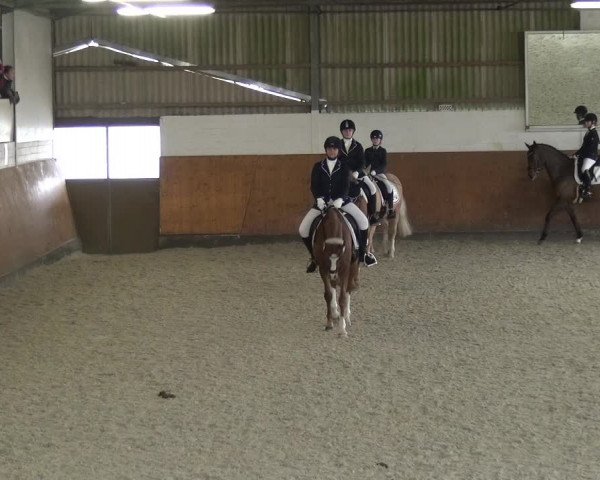 Reitturnier Leichlingen-Witzhelden 2018
