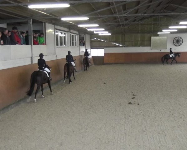 Reitturnier Leichlingen-Witzhelden 2018