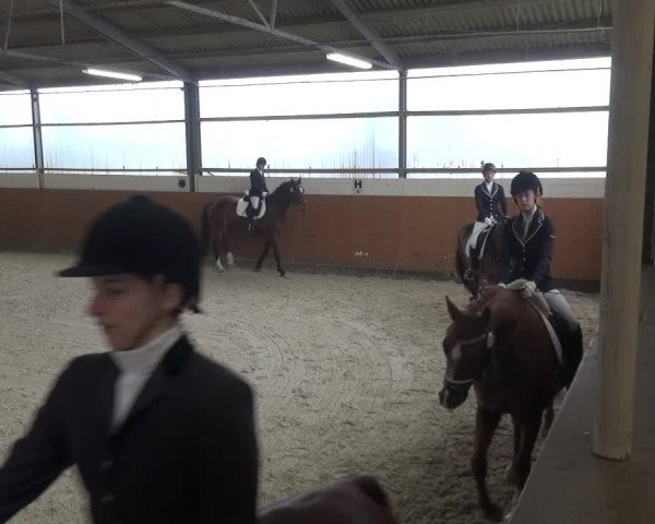 Reitturnier Leichlingen-Witzhelden 2018