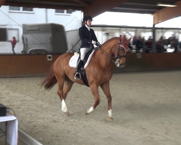 Reitturnier Leichlingen-Witzhelden 2018