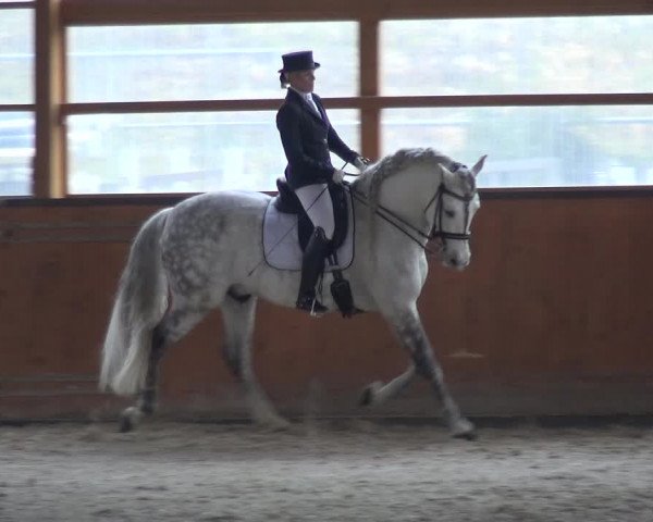 Reitturnier Leichlingen-Witzhelden 2018