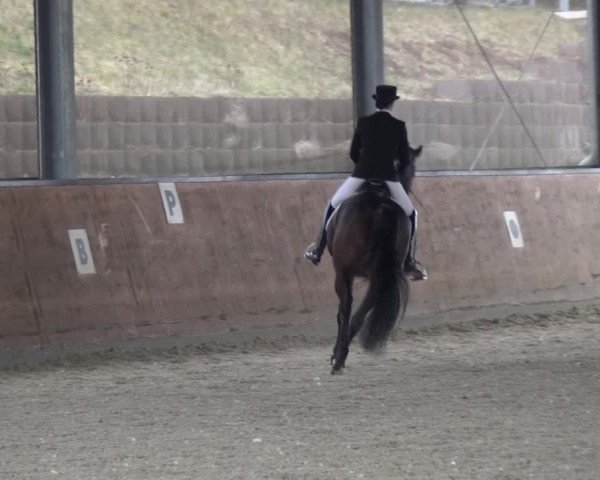 Reitturnier Leichlingen-Witzhelden 2018