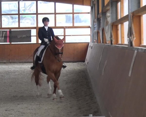 Reitturnier Leichlingen-Witzhelden 2018