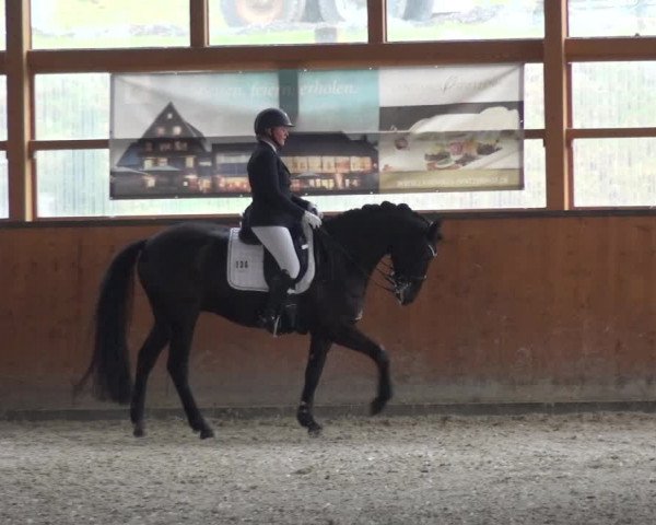 Reitturnier Leichlingen-Witzhelden 2018