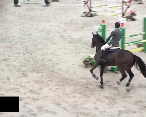 Hallenspringen Oberriet 2018