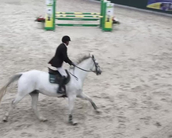 Hallenspringen Oberriet 2018