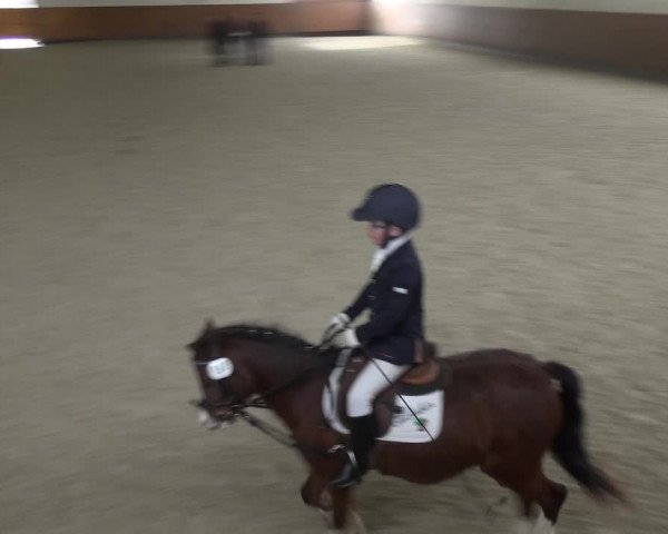Reitturnier Leichlingen-Witzhelden 2018
