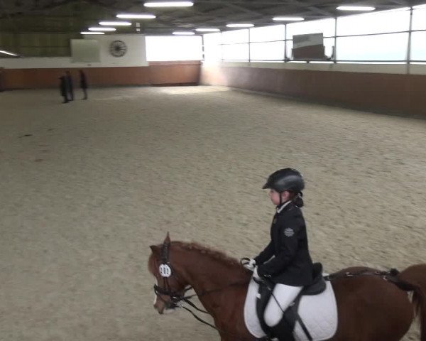 Reitturnier Leichlingen-Witzhelden 2018