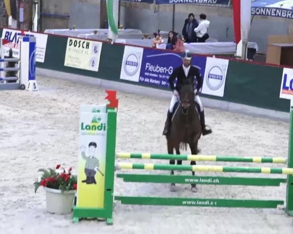 Hallenspringen Oberriet 2018