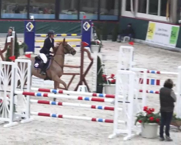 Hallenspringen Oberriet 2018
