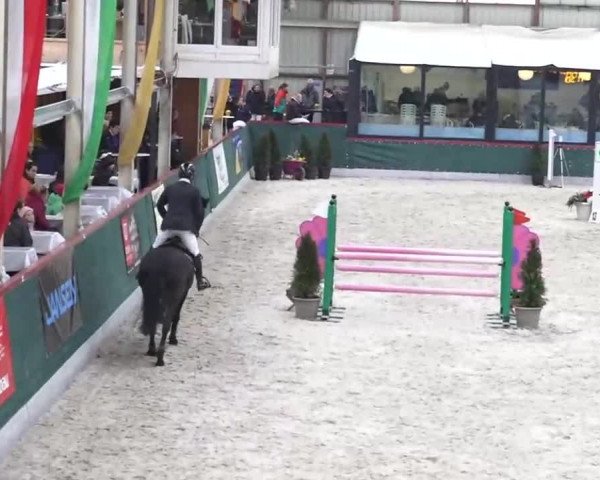 Hallenspringen Oberriet 2018