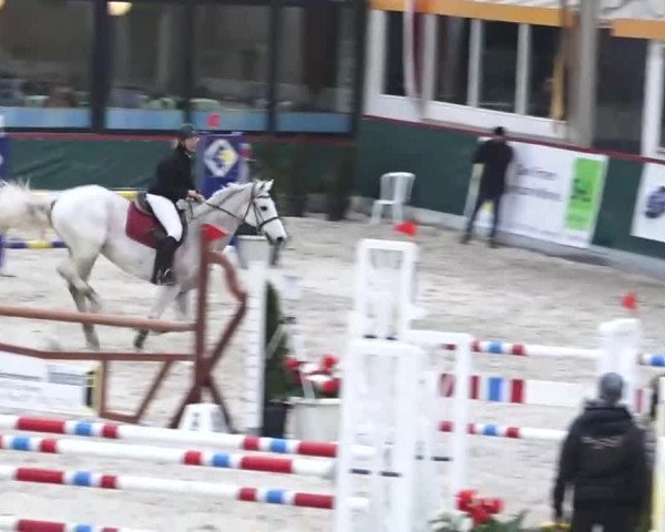 Hallenspringen Oberriet 2018