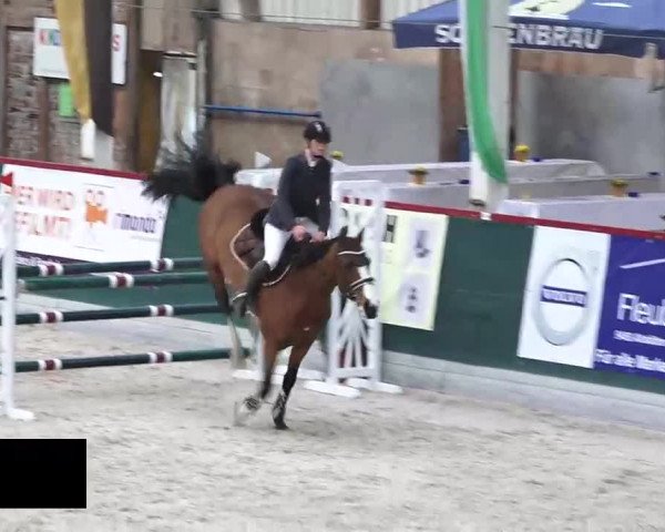 Hallenspringen Oberriet 2018