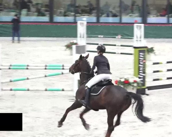 Hallenspringen Oberriet 2018