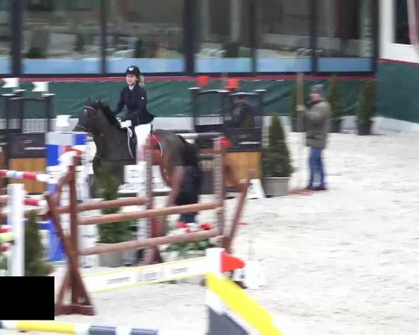 Hallenspringen Oberriet 2018