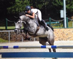 Springpferd Templemoyle Lucy Lux (Irish Sport Horse, 2009, von Lux Z)