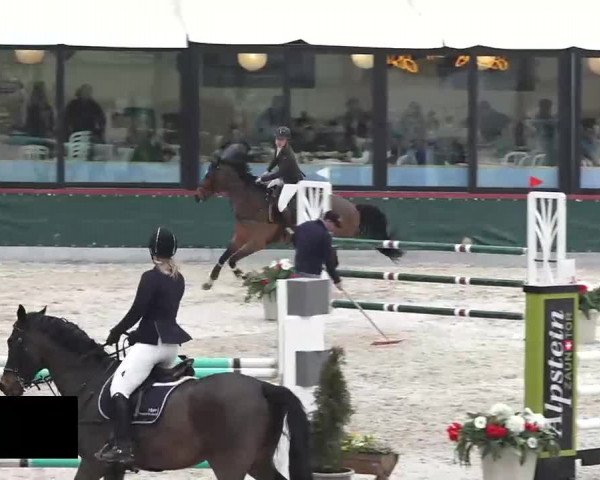 Hallenspringen Oberriet 2018