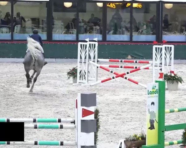 Hallenspringen Oberriet 2018