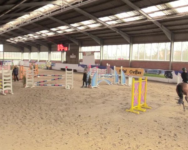 Reitturnier Greven 2018