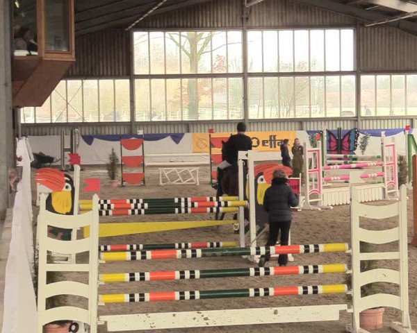 Reitturnier Greven 2018