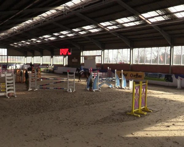 Reitturnier Greven 2018