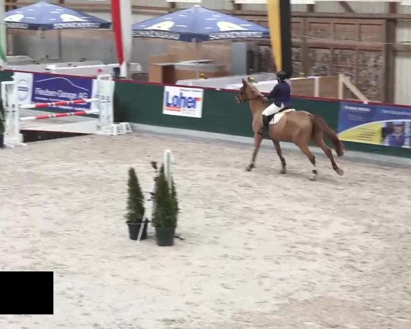 Hallenspringen Oberriet 2018