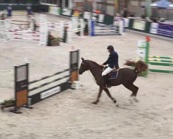 Hallenspringen Oberriet 2018