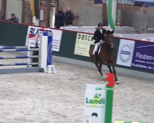 Hallenspringen Oberriet 2018