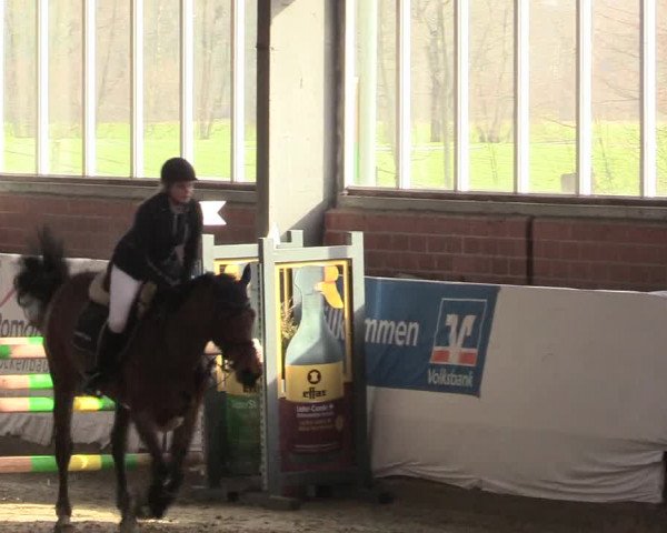 Reitturnier Greven 2018