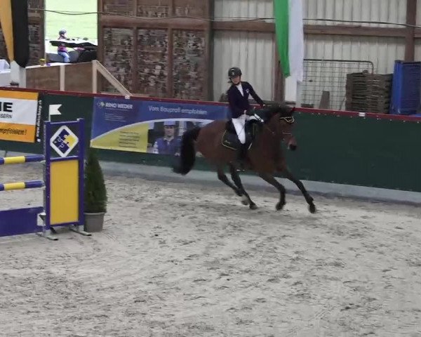 Hallenspringen Oberriet 2018