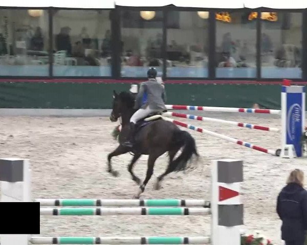 Hallenspringen Oberriet 2018