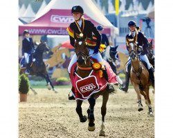 jumper Da Capo 226 (German Riding Pony, 2012, from Duncan 86)