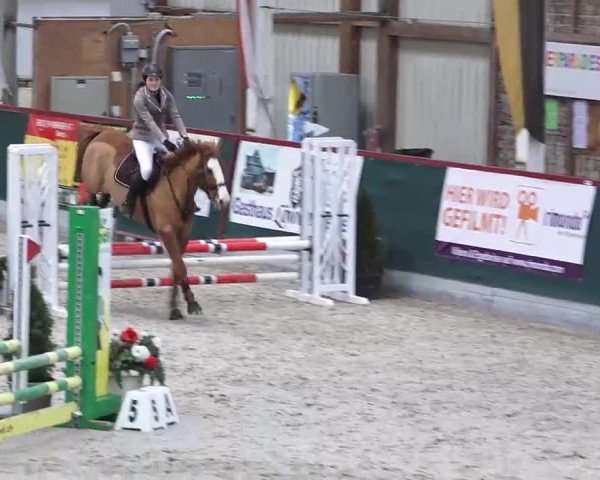 Hallenspringen Oberriet 2018