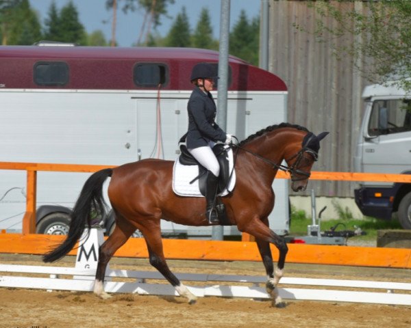 Zuchtstute Cathy (Westfale, 2009, von Captain Fire)