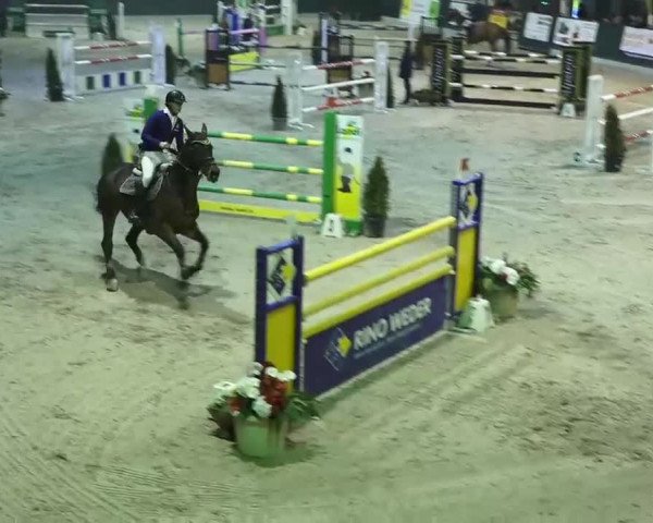 Hallenspringen Oberriet 2018