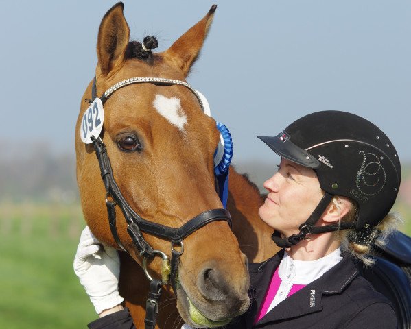 Dressurpferd Daikir San (Deutsches Reitpony, 2007, von FS Don't Worry)