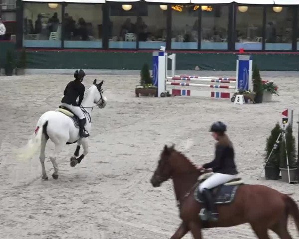 Hallenspringen Oberriet 2018
